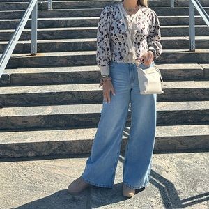 Zara Knit Cardigan